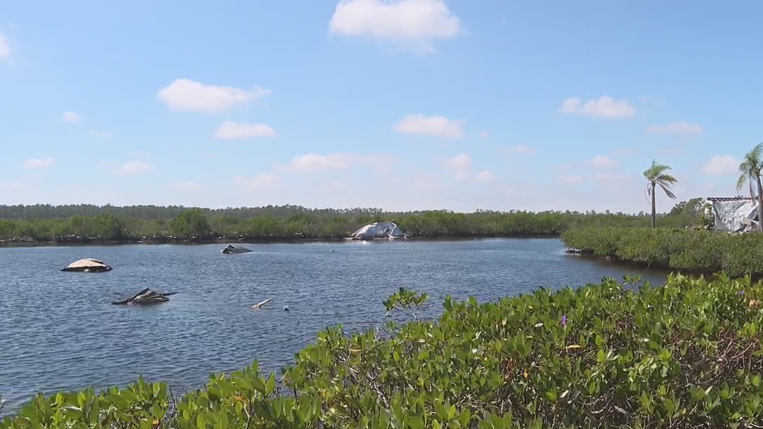 Volunteers work to clean up Myakka River months after Hurricane Ian